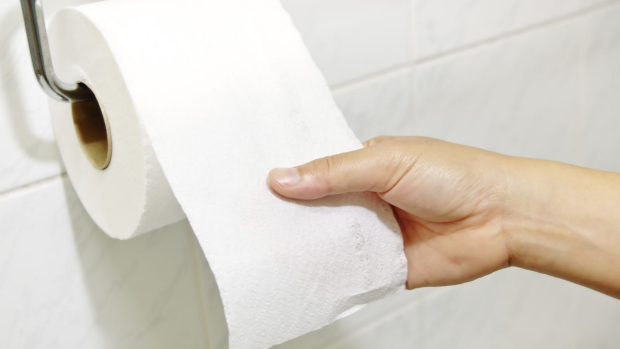 Article image for Toilet Paper Review