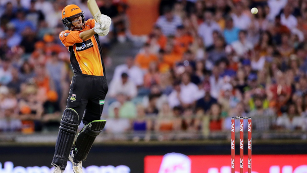 Article image for No rest for the Scorchers