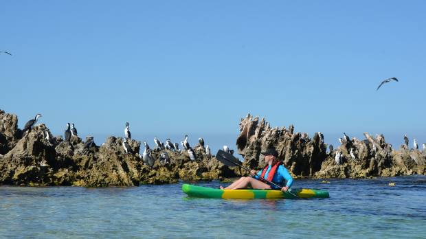 Article image for Marine park turns 30
