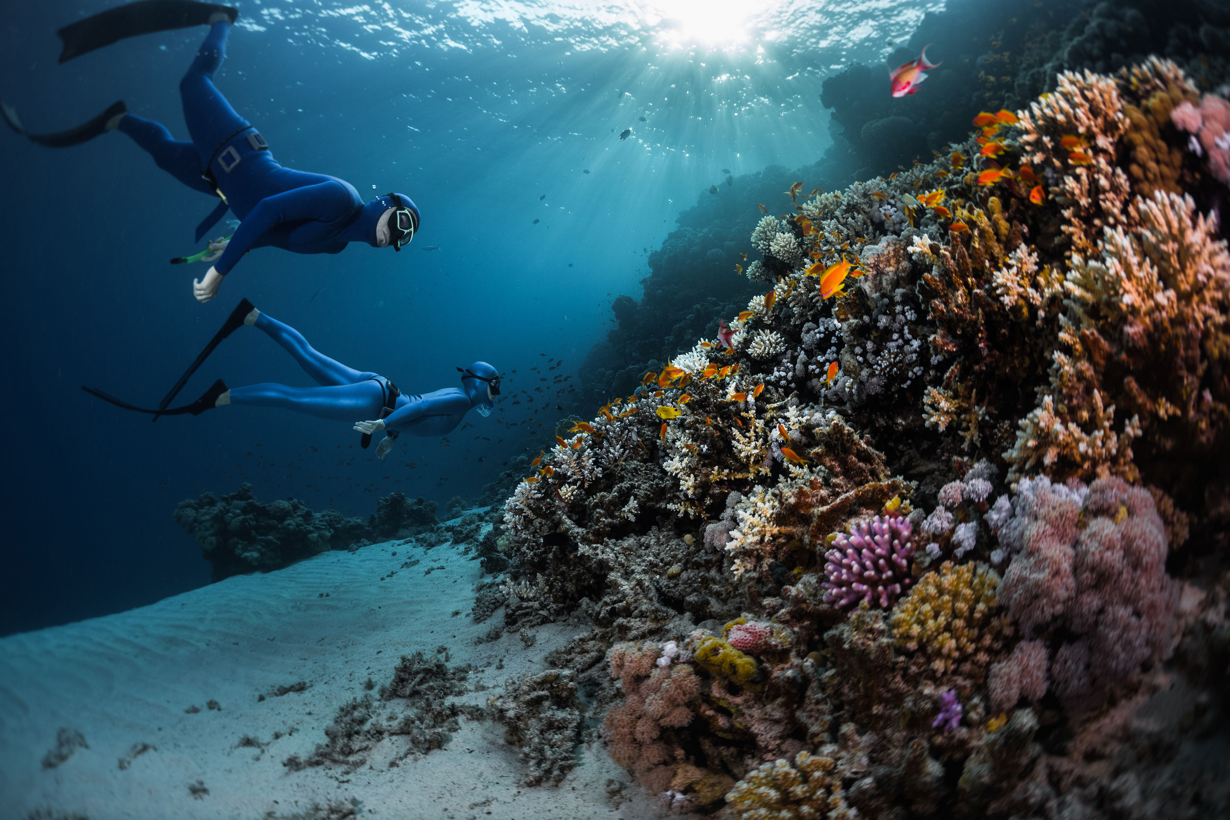 Article image for Peter Barnes – Manager Ningaloo Marine Park