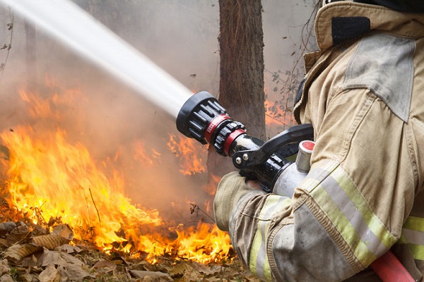 Article image for 650 hectares burnt in Yanchep fire