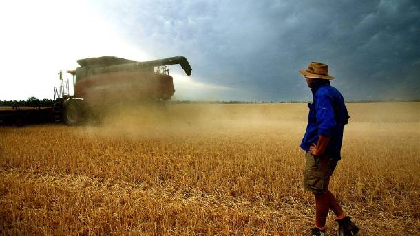 Article image for WA farmers are desperate for local West Aussies to work on their farms