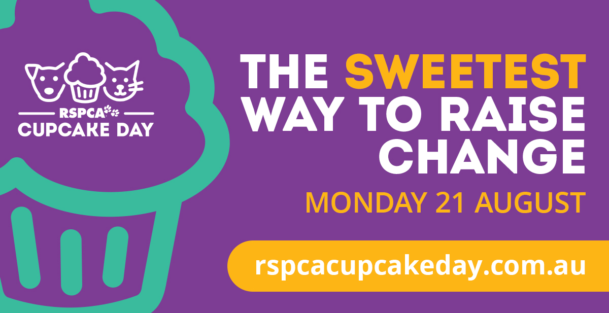 Article image for RSPCA – Pets in Crisis and Cupcake Day