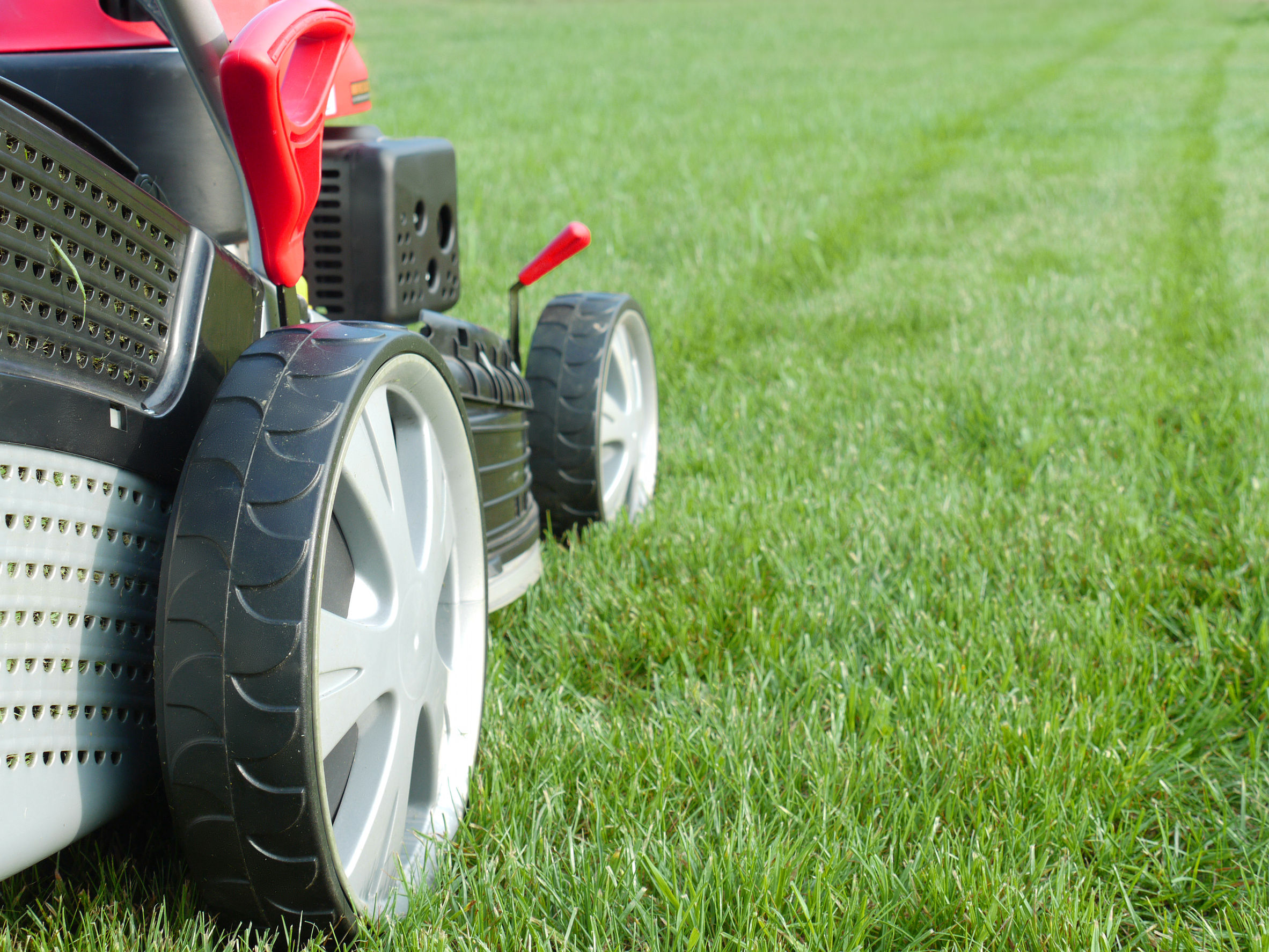 Article image for City of Belmont bans fake turf