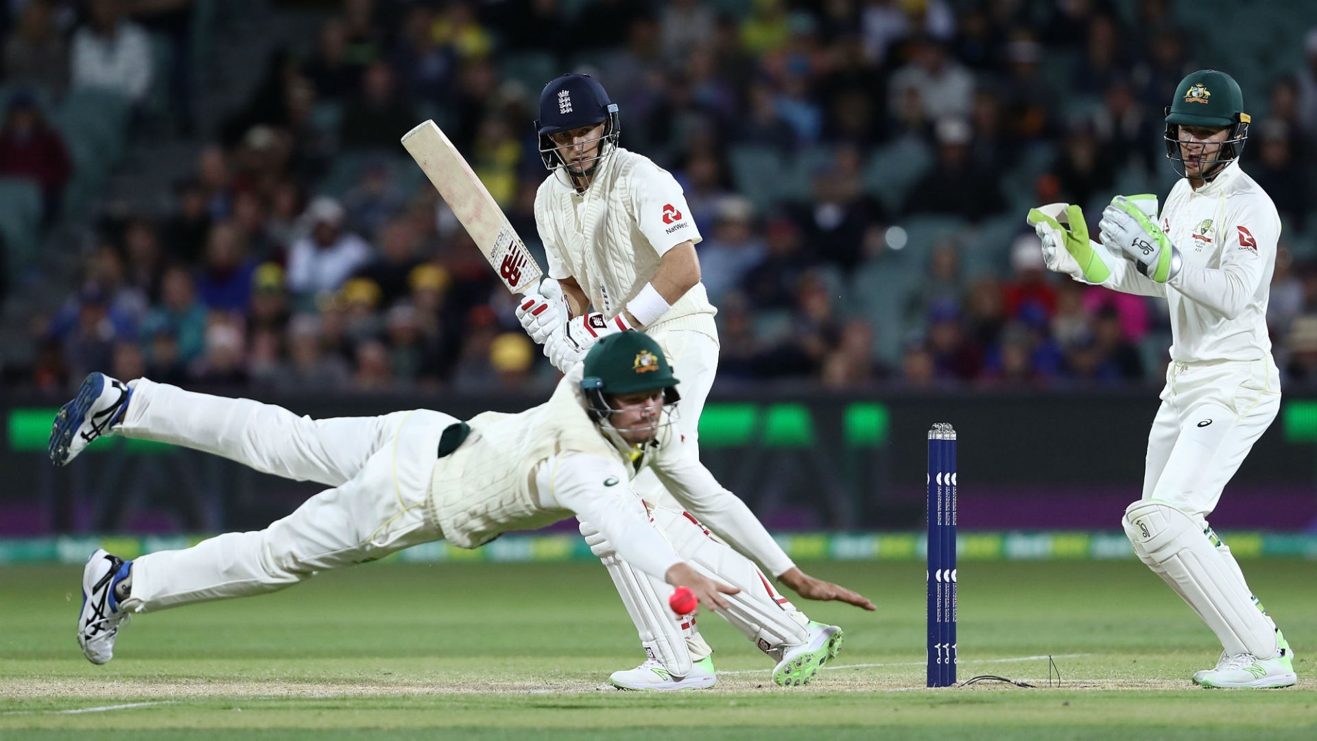 Article image for Root leads the resistance as England dare to dream