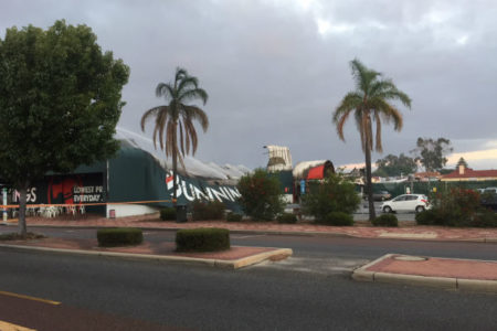 Man saves houses from Bunnings blaze