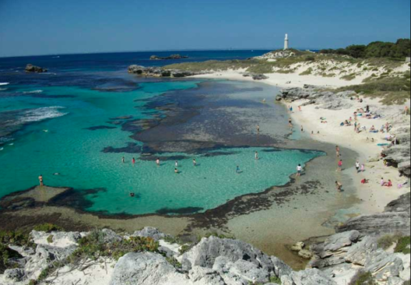 Rottnest - 6pr