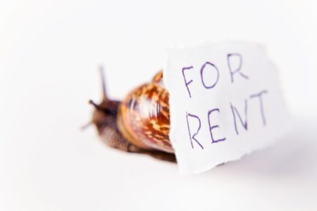 Small retailers need rent reductions to survive