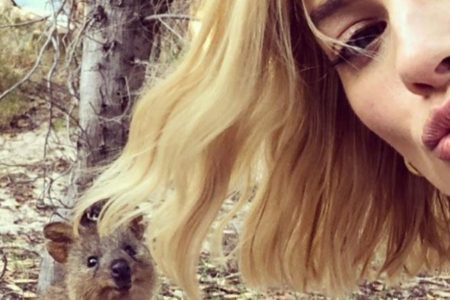 Quokka selfie sets records for Rottnest Island