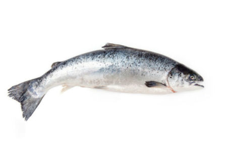 Taste of The West – Canned Salmon -Jim Mendolia – Fremantle Sardines – April 21, 2018