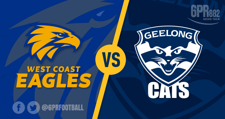 Article image for Eagles swoop on injured Cats