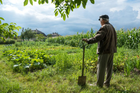 Immigrants in rural areas to ease strain on infrastructure?