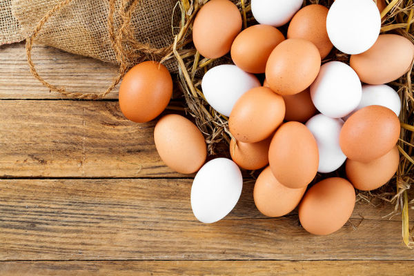 Article image for Egg shortage to continue for years