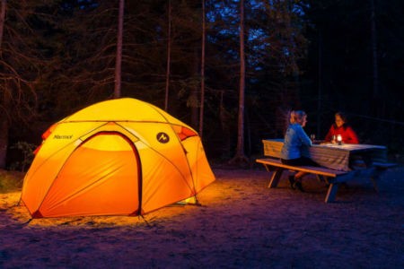 Camping survival tips for Millsy