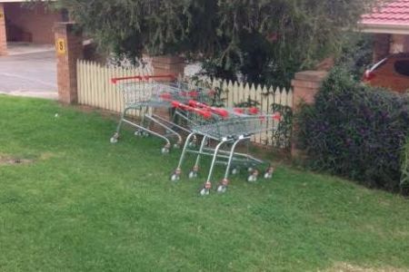 The collective noun for shopping trolleys?