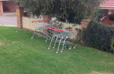 Article image for The collective noun for shopping trolleys?