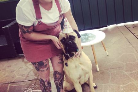 Bullmastiff retires from regular blood donations