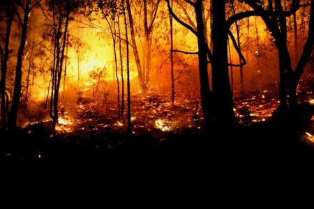 Experts propose levy to help prevent climate-fuelled bushfires