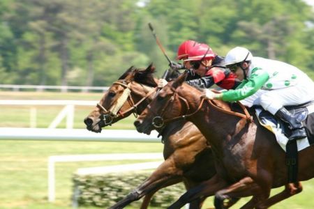 What do banking and horse racing have in common?