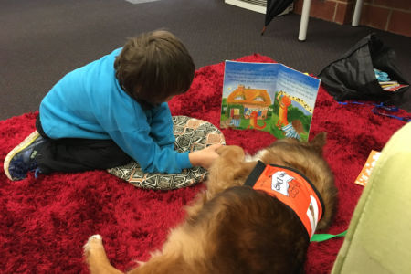 These wet-nosed teaching assistants are helping Aussie kids learn to read – find out how