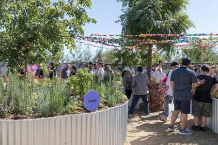 Gardening for good with Dementia, aged care and disability support group Chorus