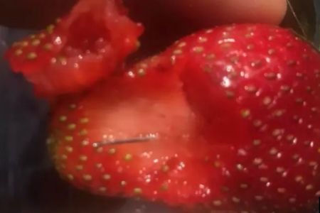 Strawberry sabotage may have reached WA – Hannah Barry brings us the latest developments