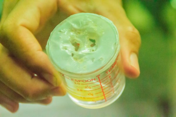 Are health services in regional WA failing some snake bite victims?