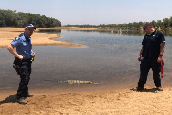 Croc rescue at Fitzroy Crossing