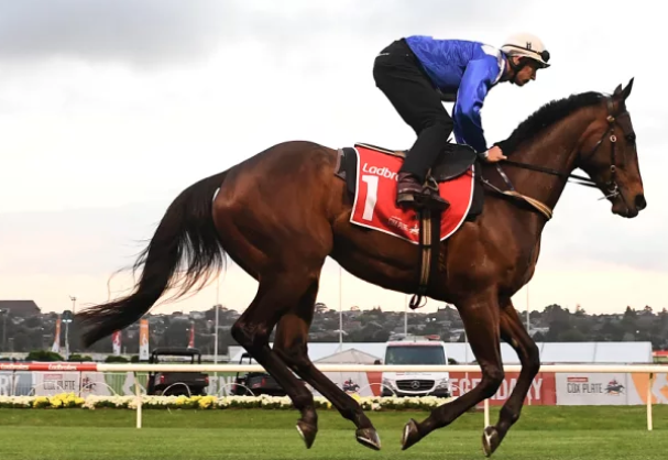 Winx Rides Into History