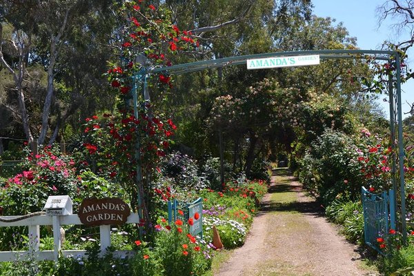 Will you go to the Amanda’s Garden Fete this weekend?