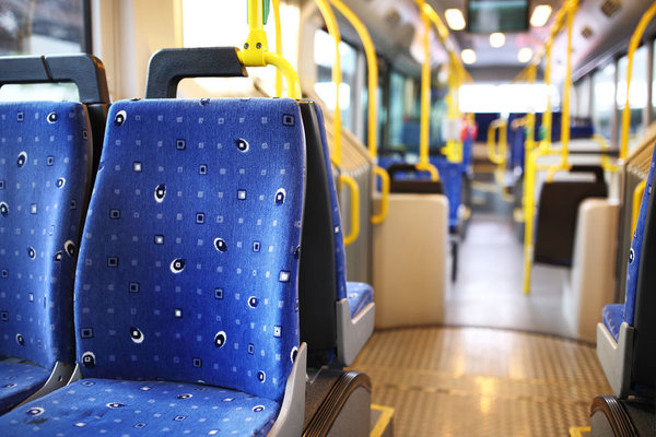 How does a free bus ticket sound?