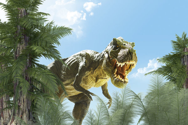 Could a dinosaur-era animal provide the clue to solve our cyber woes?