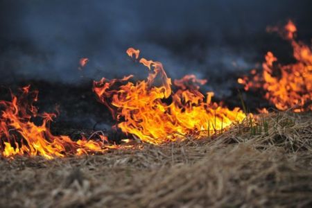 Are you prepared for bushfire season?