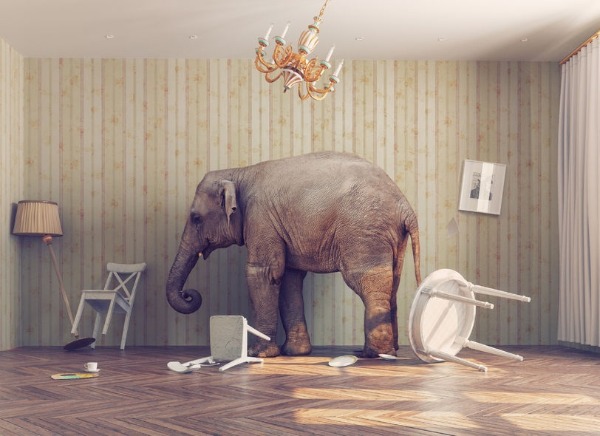 How do you talk about the elephant in the room?