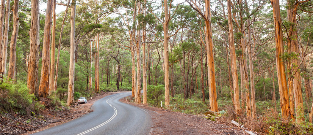 Article image for State Nationals MP Urges Social Distancing Measures In Outback Towns To Be Eased