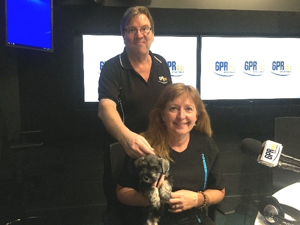 Choosing the perfect puppy with Dr Meg Howes
