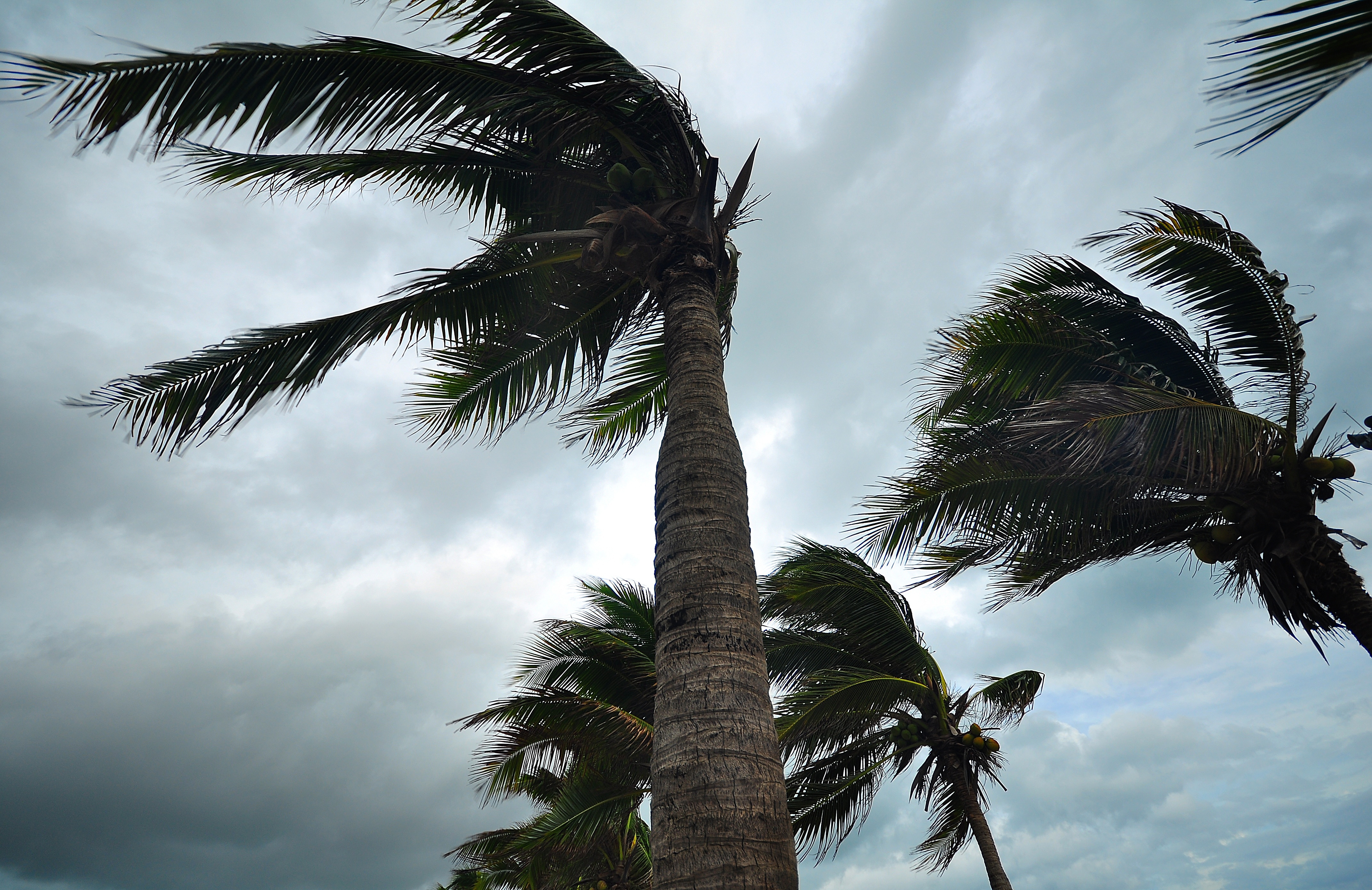44th Anniversary of Cyclone Tracy
