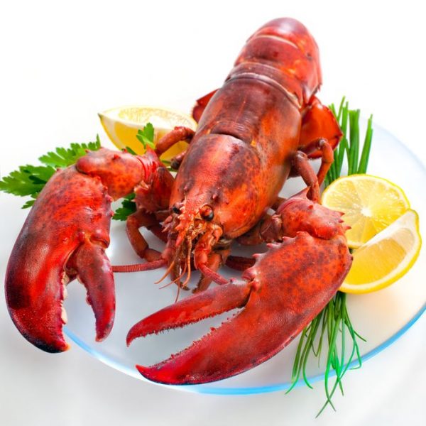 Lobster for the less fortunate on Christmas Day