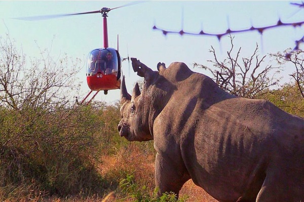 The secret life of South African wildlife – Steve ‘Grumpy’ Collins
