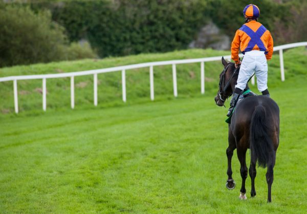 British horse racing suspended