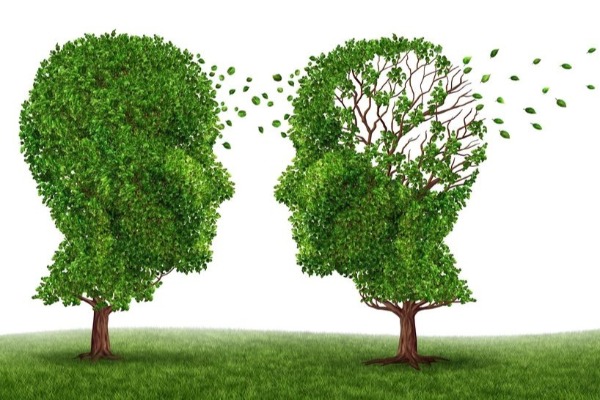Could dementia be preventable?