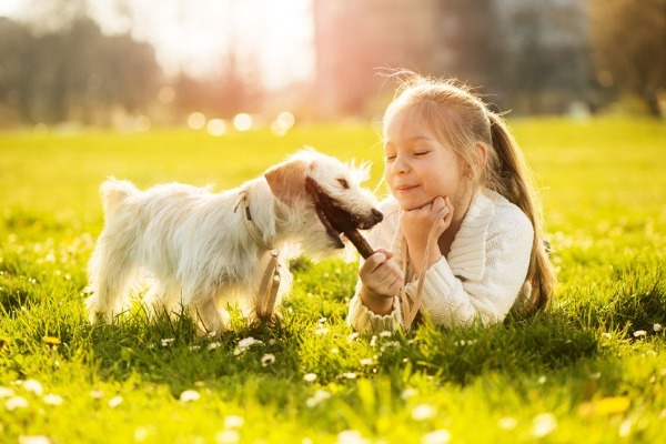 What should you teach your kids about dogs?