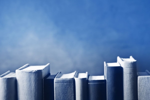 Get your literary fix with Chelsie Stone