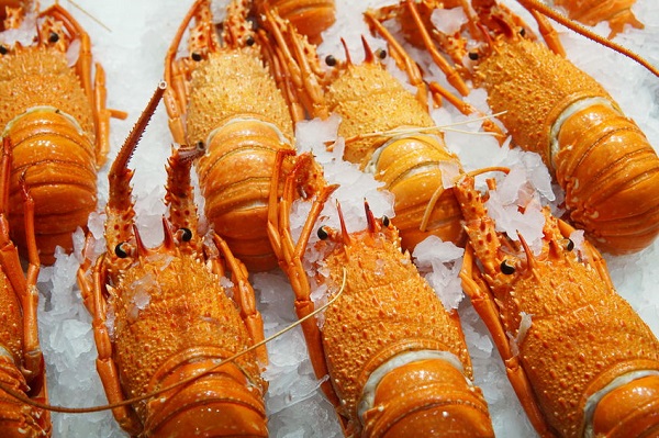 Coronavirus impacts WA crayfishing industry
