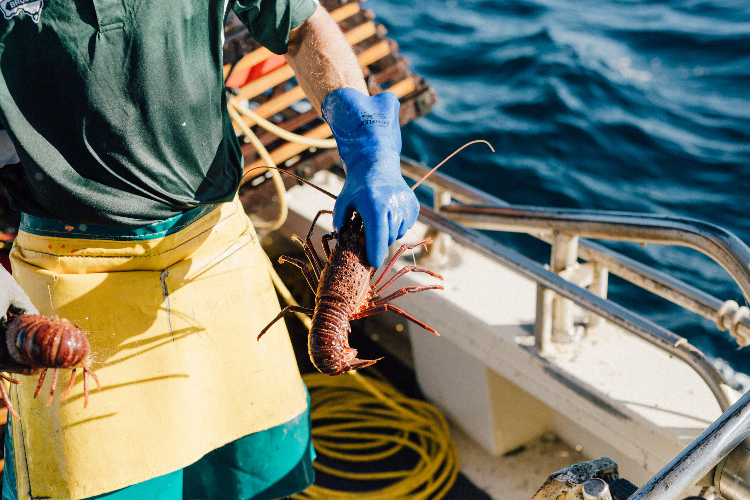 Nahan joins rock lobster fishery members in Parliament House protest