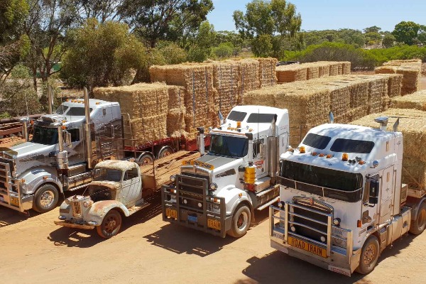 Truckies drive mercy missions to starving stations