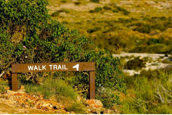 A Bushwalking Brew