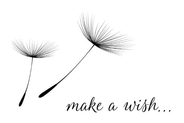 What a Wish…. would it be yours?