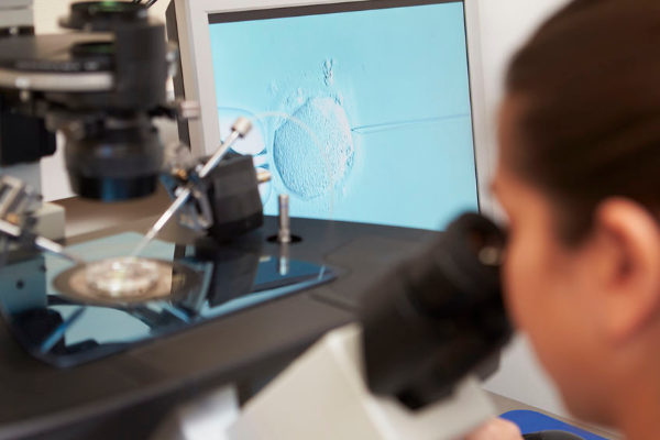 Could ‘three parent’ IVF babies be born in Australia?