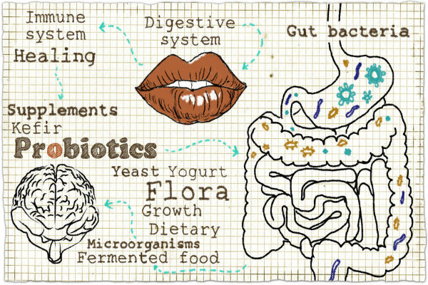 Probiotics and the Mediterranean diet